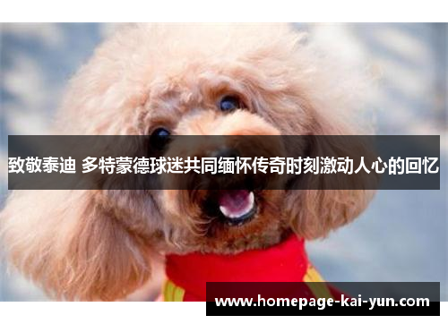 致敬泰迪 多特蒙德球迷共同缅怀传奇时刻激动人心的回忆