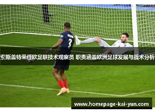 索斯盖特荣任欧足联技术观察员 职责涵盖欧洲足球发展与战术分析